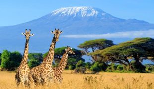 Kenya tourism photo